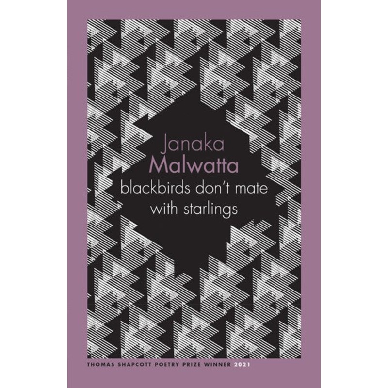 blackbirds dont mate with starlings