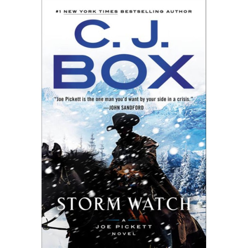 Storm Watch Hardcover