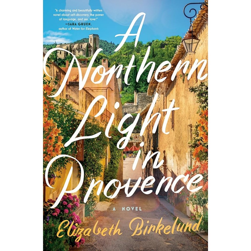 A Northern Light in Provence: A Novel