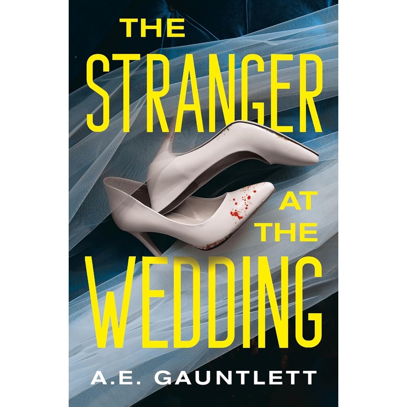 The Stranger at the Wedding: A Novel Hardcover