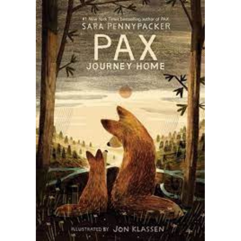 Pax: Journey Home