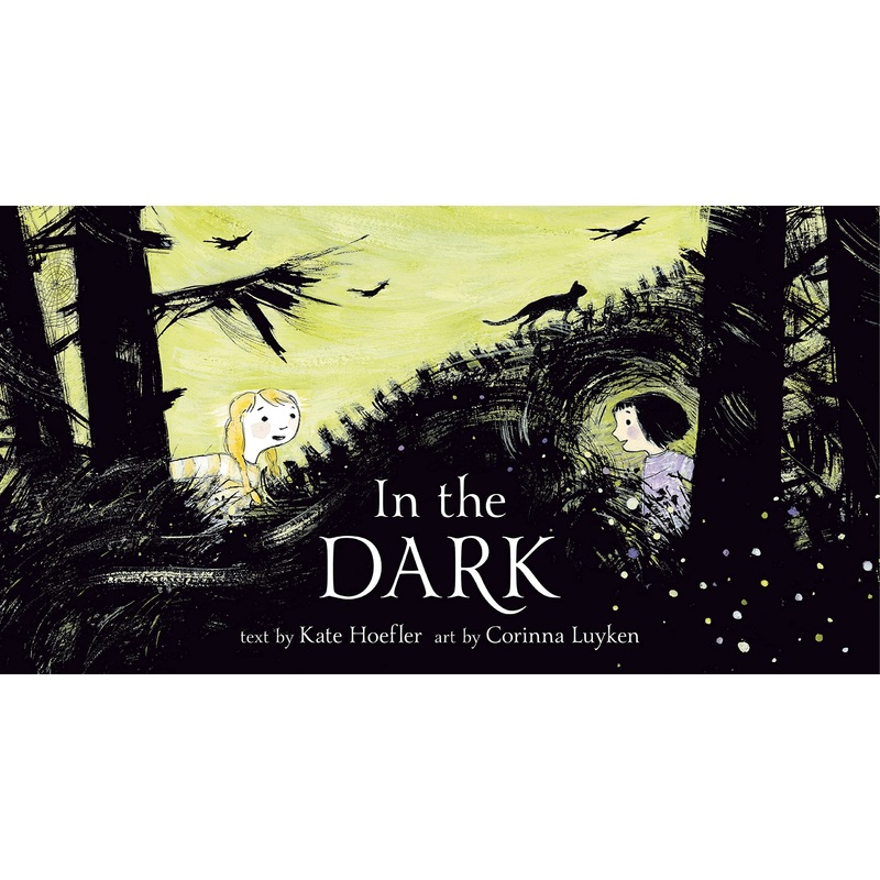 In the Dark Hardcover