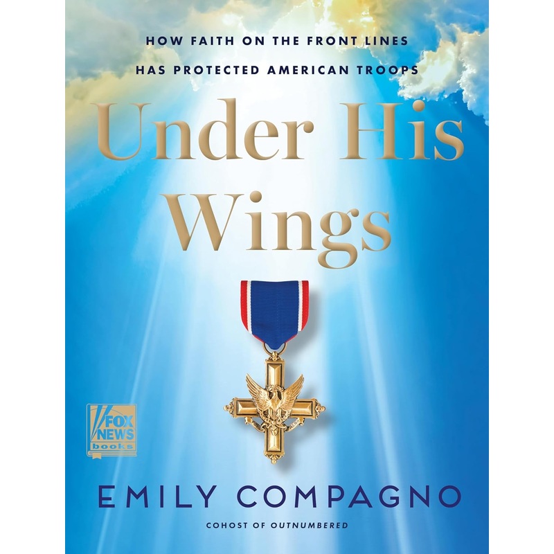 Under His Wings: How Faith on the Front Lines Has Protected American Troops Hardcover