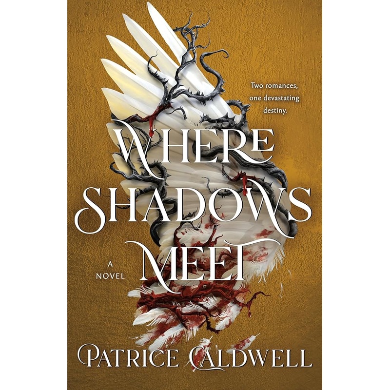 Where Shadows Meet: A Novel