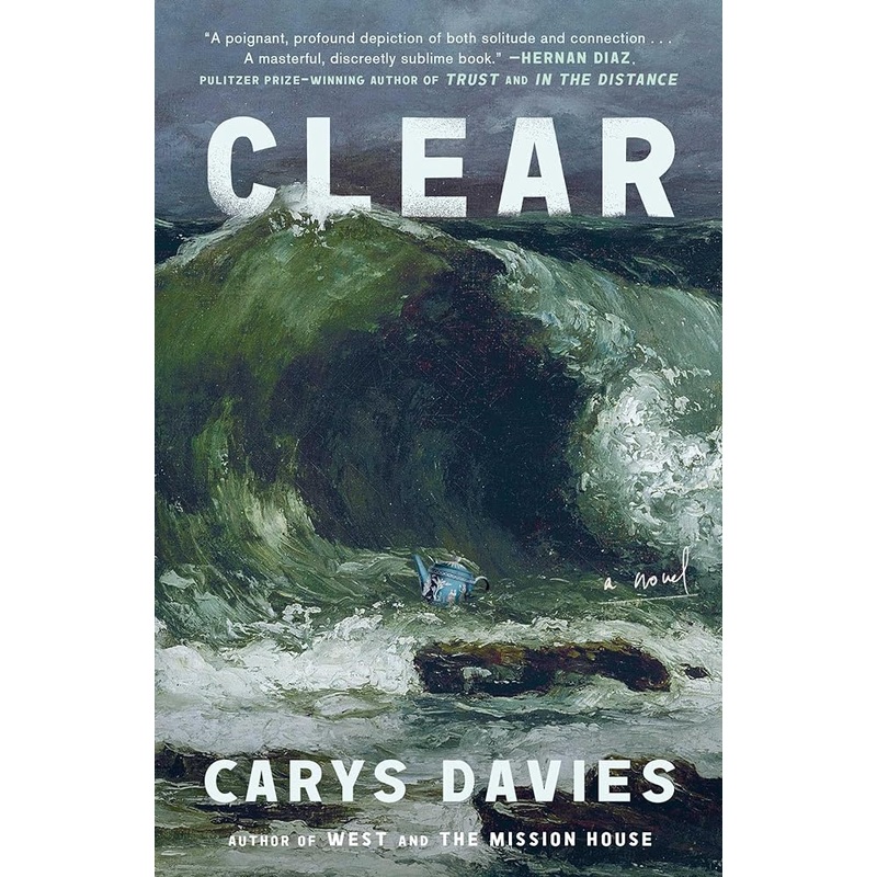 Clear: A Novel