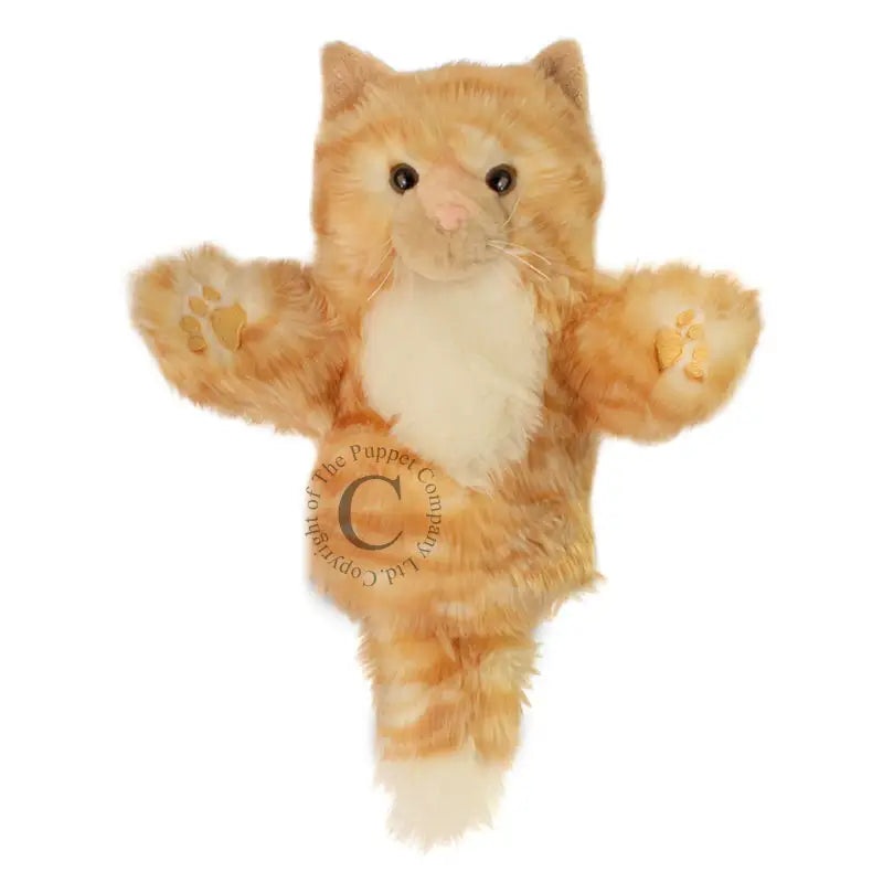 CarPets Hand Puppets Ginger Cat