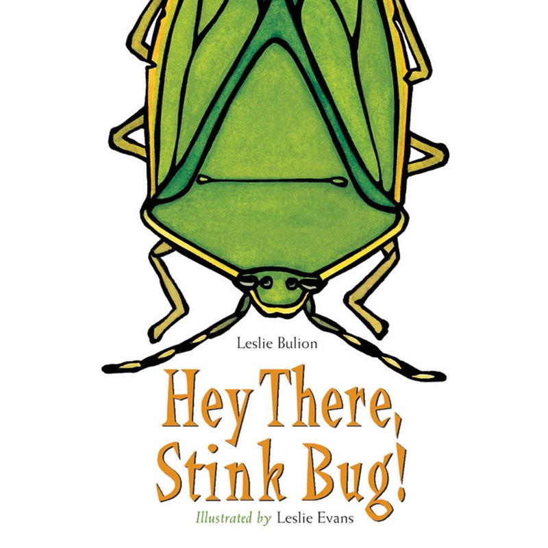 Hey There, Stink Bug!