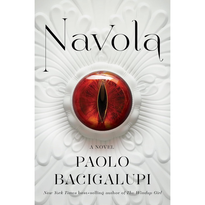 Navola: A Novel Hardcover