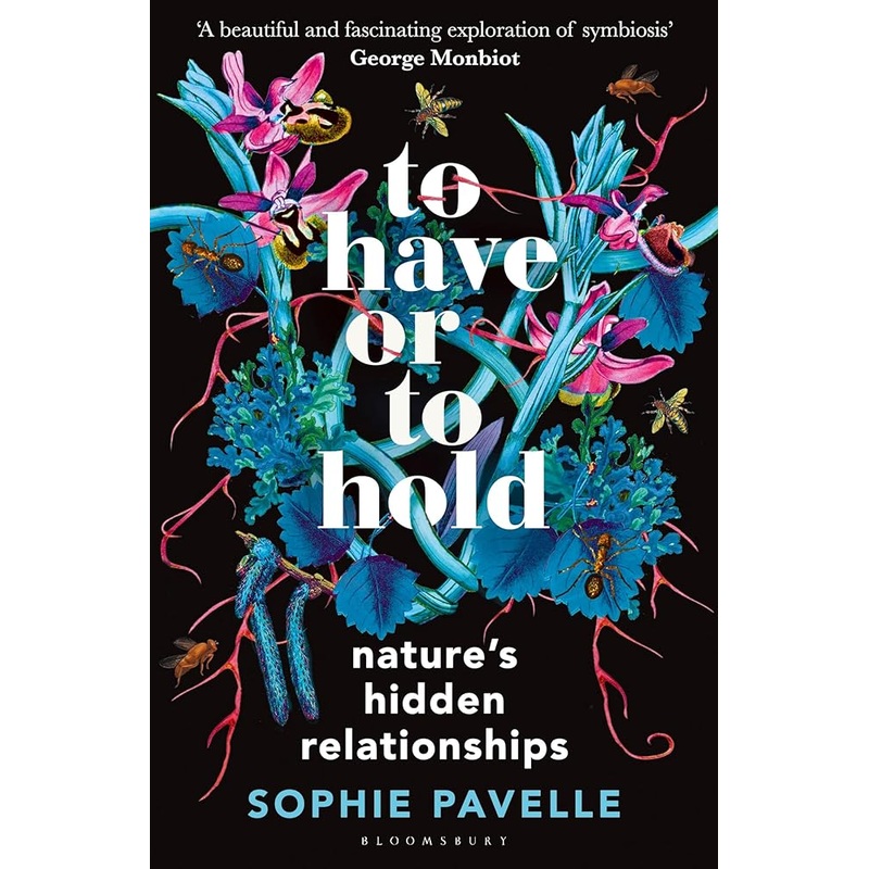 To Have or To Hold: Nature’s Hidden Relationships