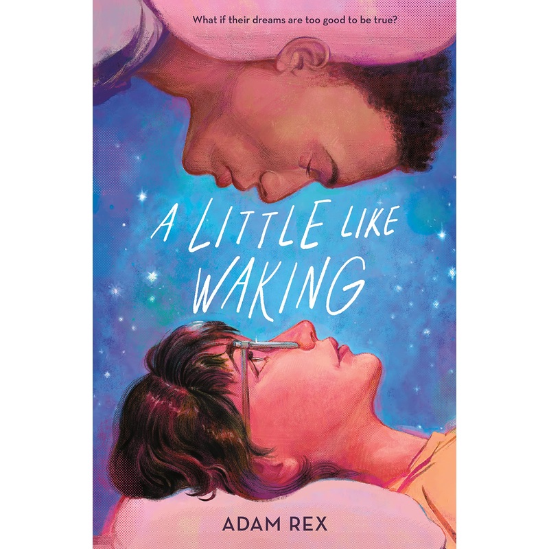 A Little Like Waking Hardcover