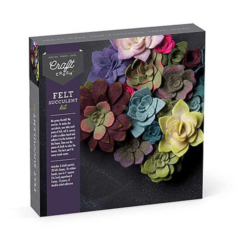Felt Succulents Kit