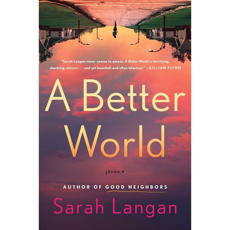 A Better World: A Novel Hardcover