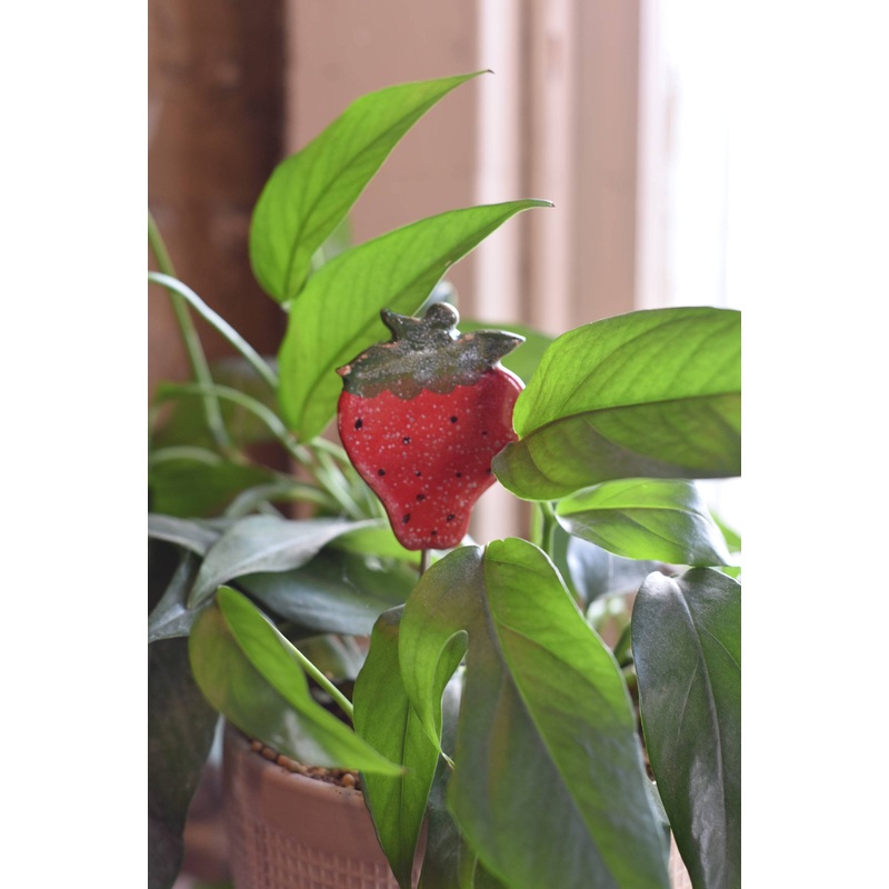 Plant Buddies – Strawberry