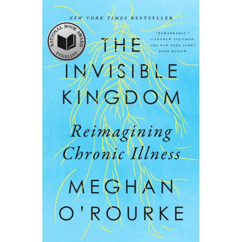 The Invisible Kingdom
