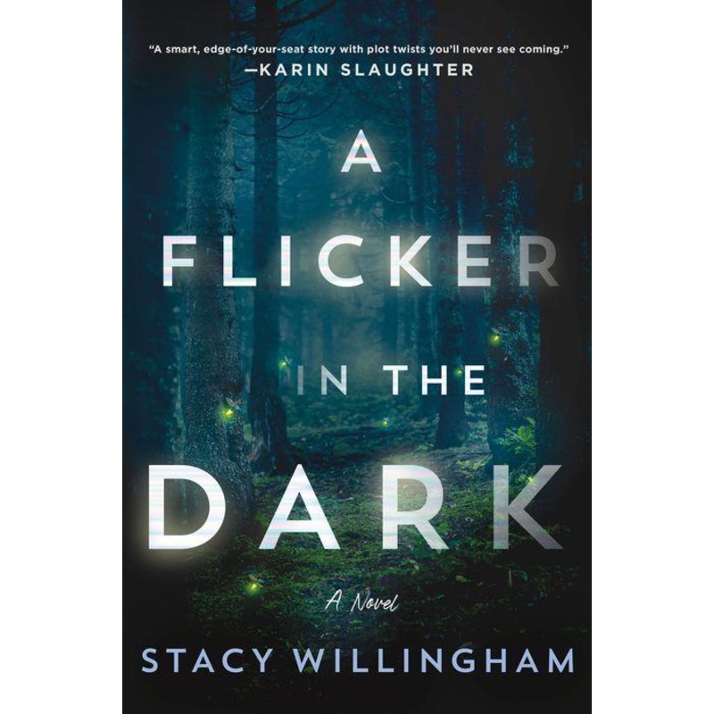 A Flicker in the Dark: A Novel Hardcover