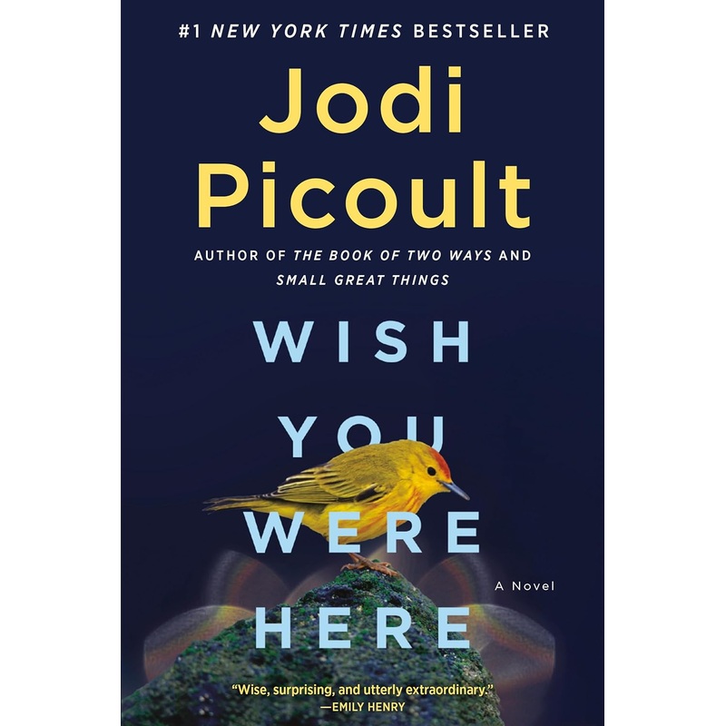 Wish You Were Here: A Novel Paperback