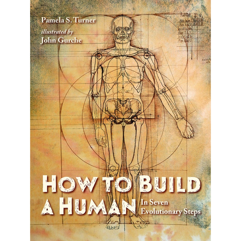 How to Build a Human
