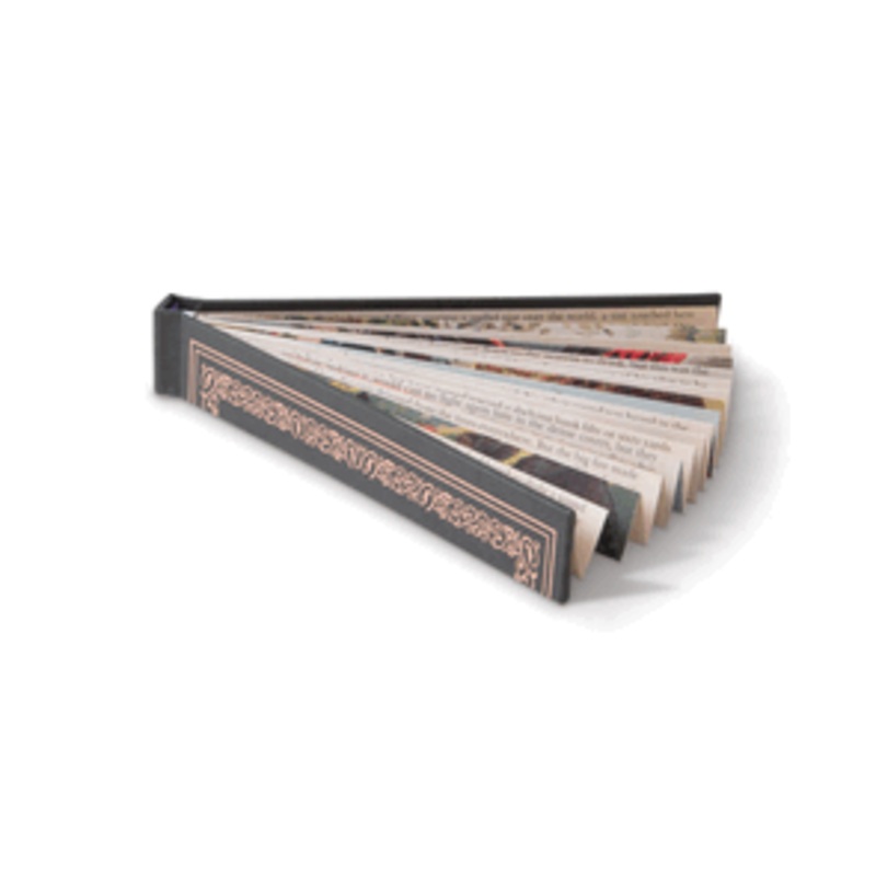if USA – Book Fans (Green)
