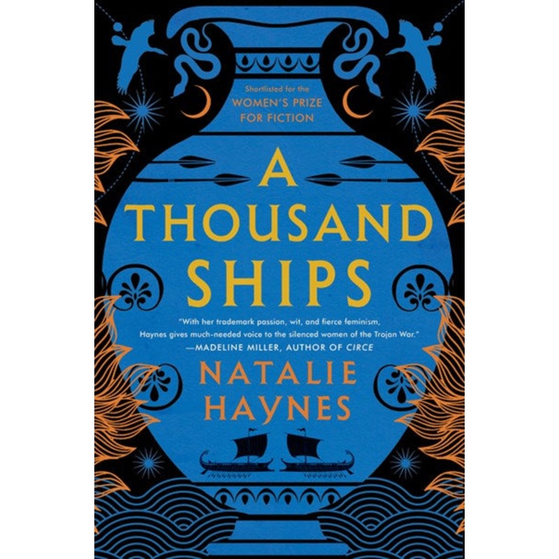 A Thousand Ships : A Novel