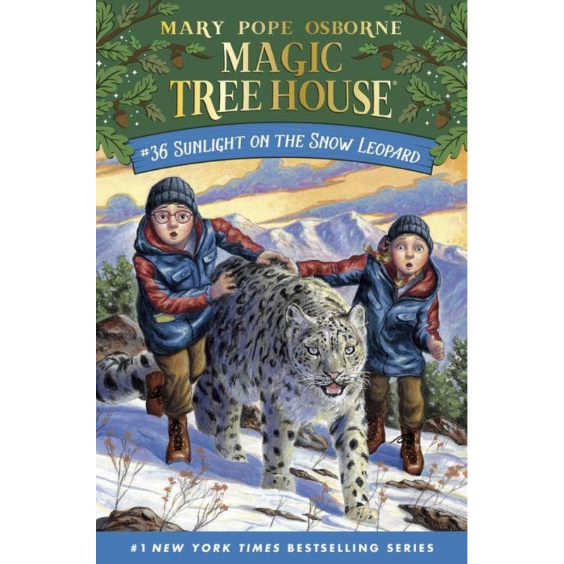 Sunlight on the Snow Leopard Hardcover