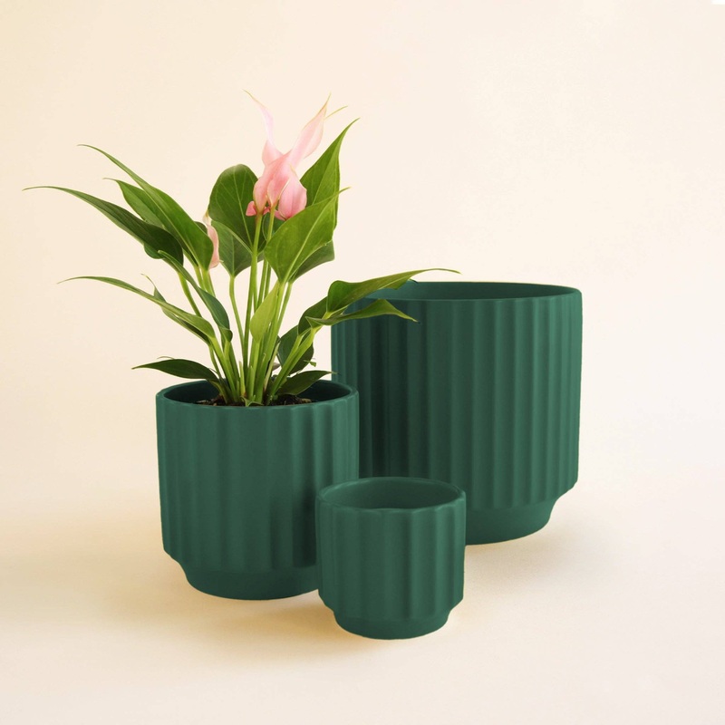 Monroe Planter – Rainforest 3 inch
