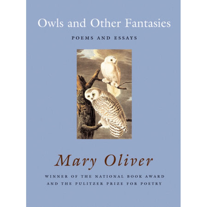 Owls and Other Fantasies