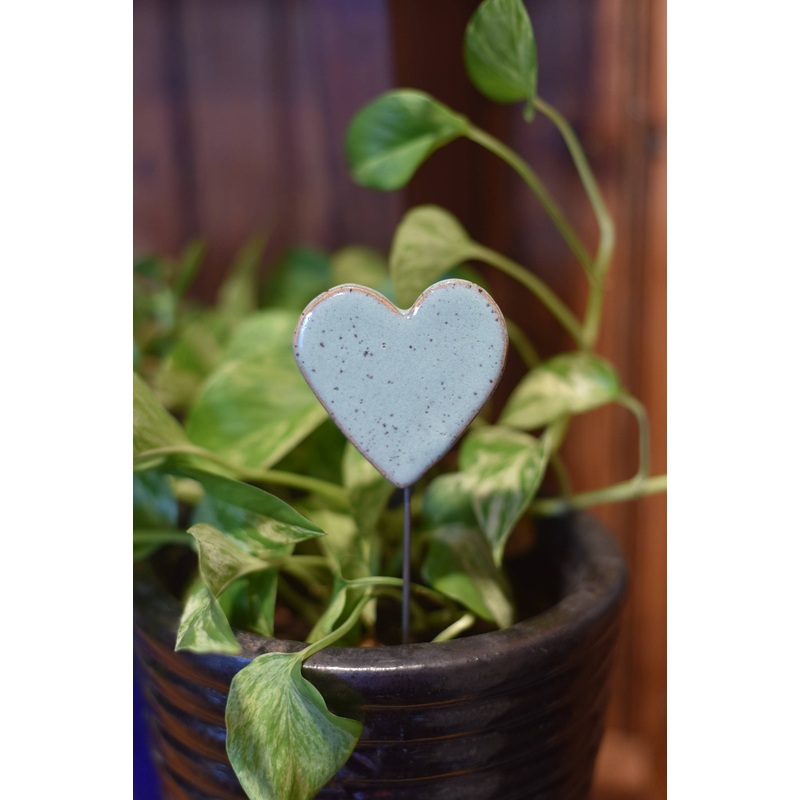 Plant Buddies – Heart