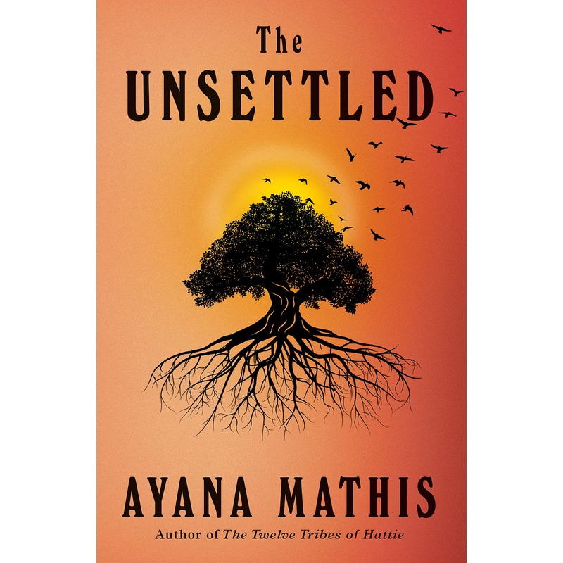 The Unsettled: A Novel Hardcover