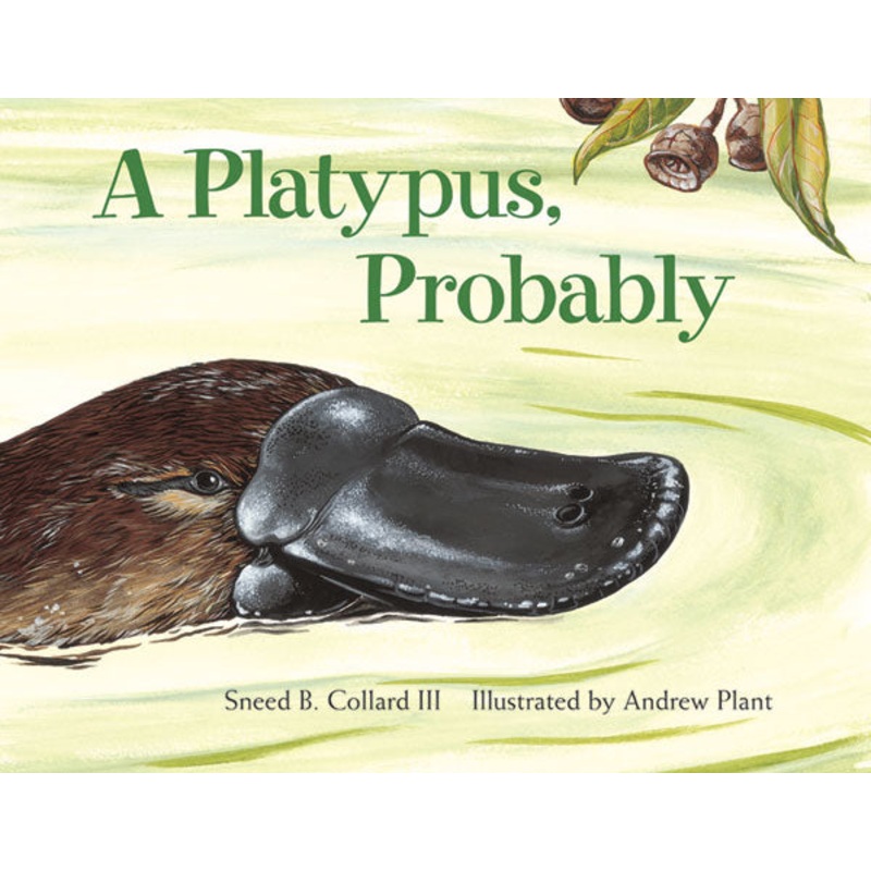 A Platypus, Probably