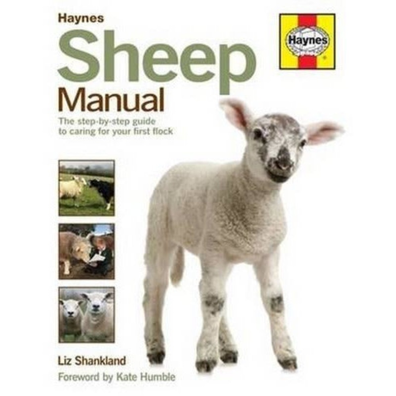 Sheep Manual – The Complete Step-by-step Guide To Caring For Your Flock
