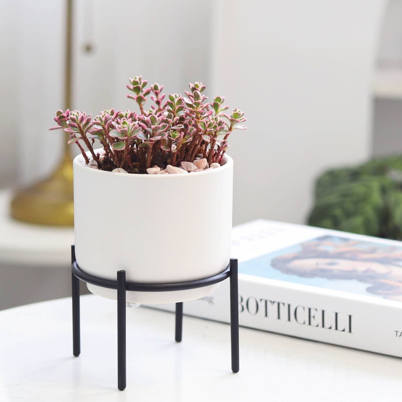 4″ Solid White Ceramic Planter with Black Metal Stand