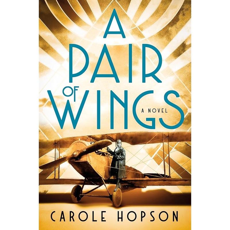 A Pair of Wings: A Novel