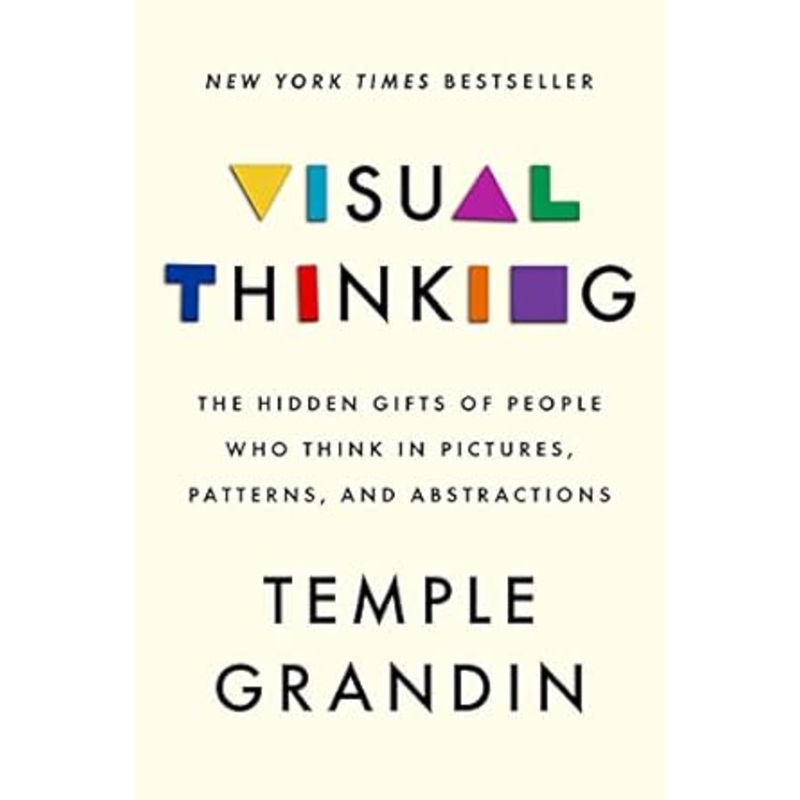 Visual Thinking: The Hidden Gifts of People Who Think in Pictures, Patterns, and Abstractions