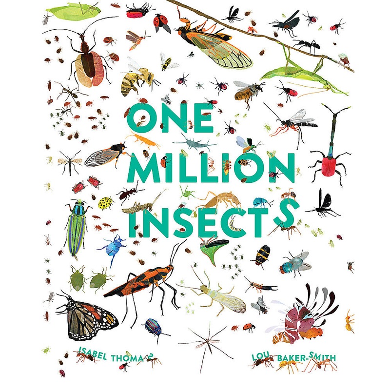 One Million Insects