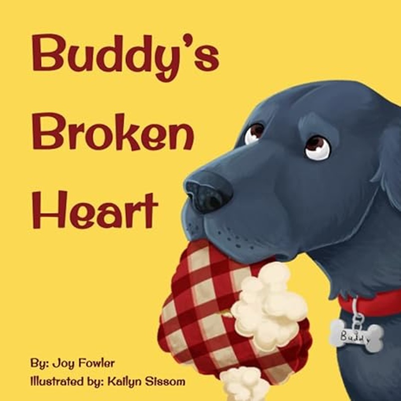 Buddy’s Broken Heart Paperback