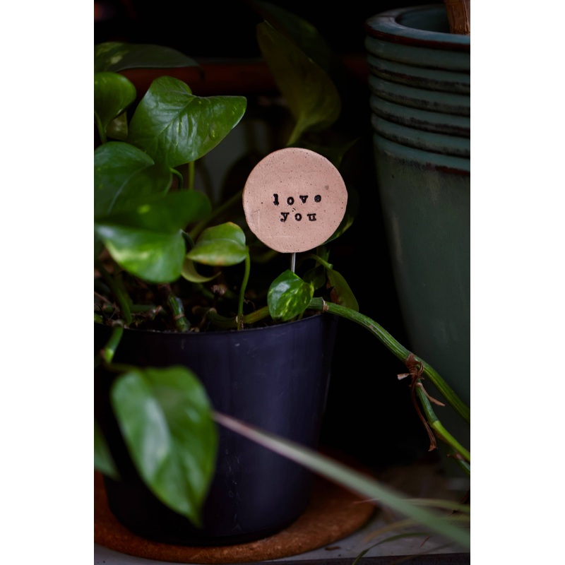 Plant Buddies – Text – Love You