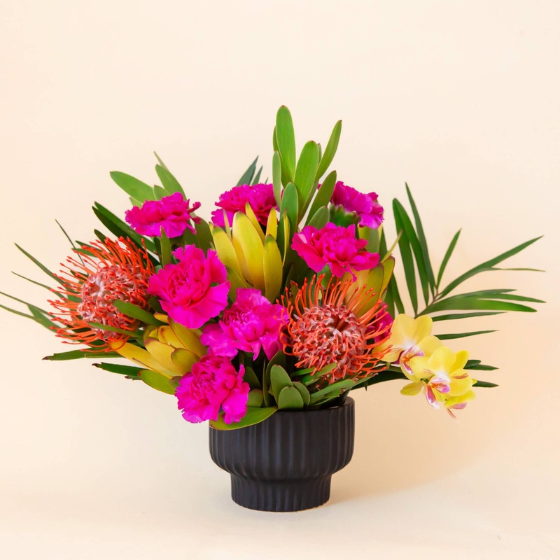 Presley Pedestal Pot | Black 4.5 inch Drainage