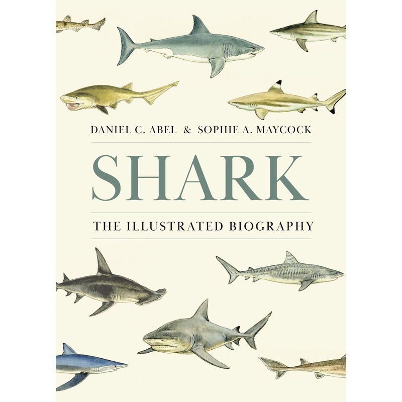 Shark