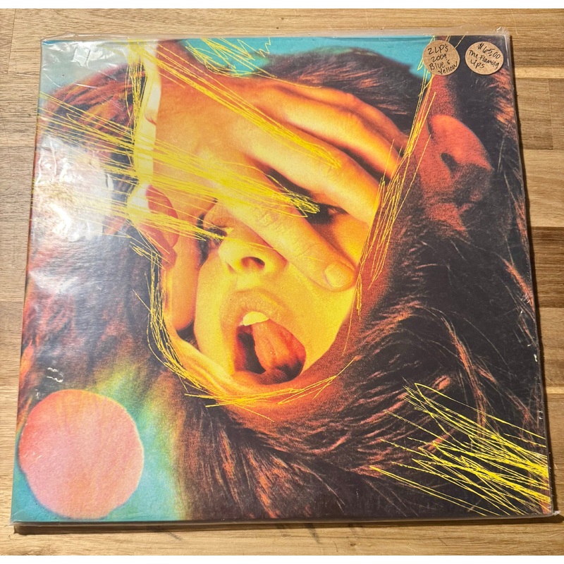 The Flaming Lips–Embryonic, Vinyl Record