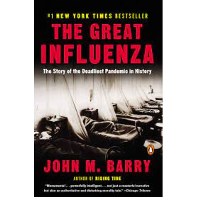 The Great Influenza