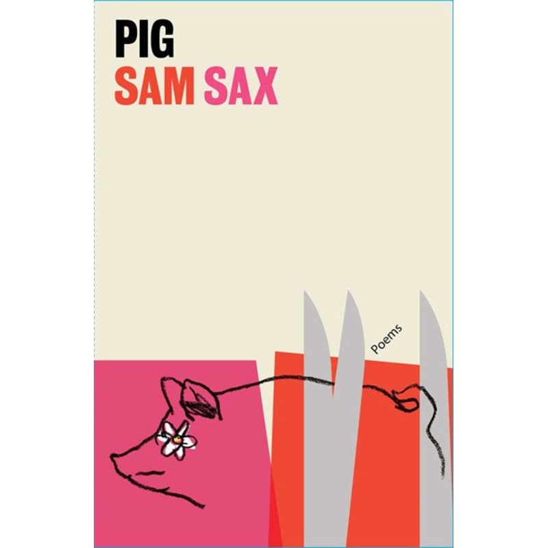 Pig