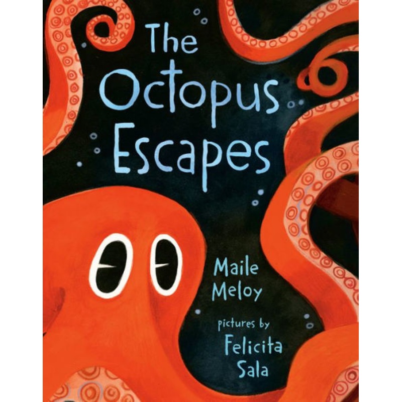 The Octopus Escapes Board Book