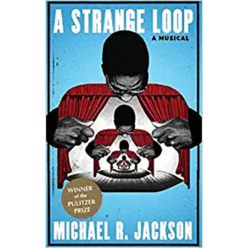 A Strange Loop Paperback