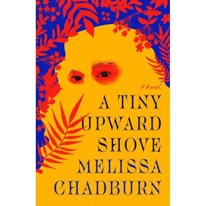 A Tiny Upward Shove: A Novel Hardcover
