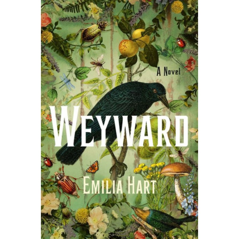 Weyward Hardcover