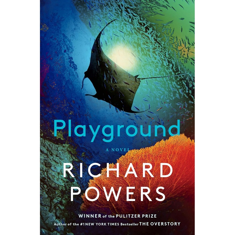Playground: A Novel Hardcover