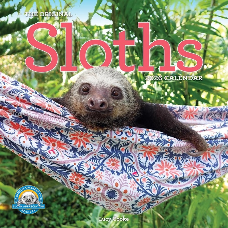 Original Sloths Wall Calendar 2026: The Ultimate Experts at Slowing Down