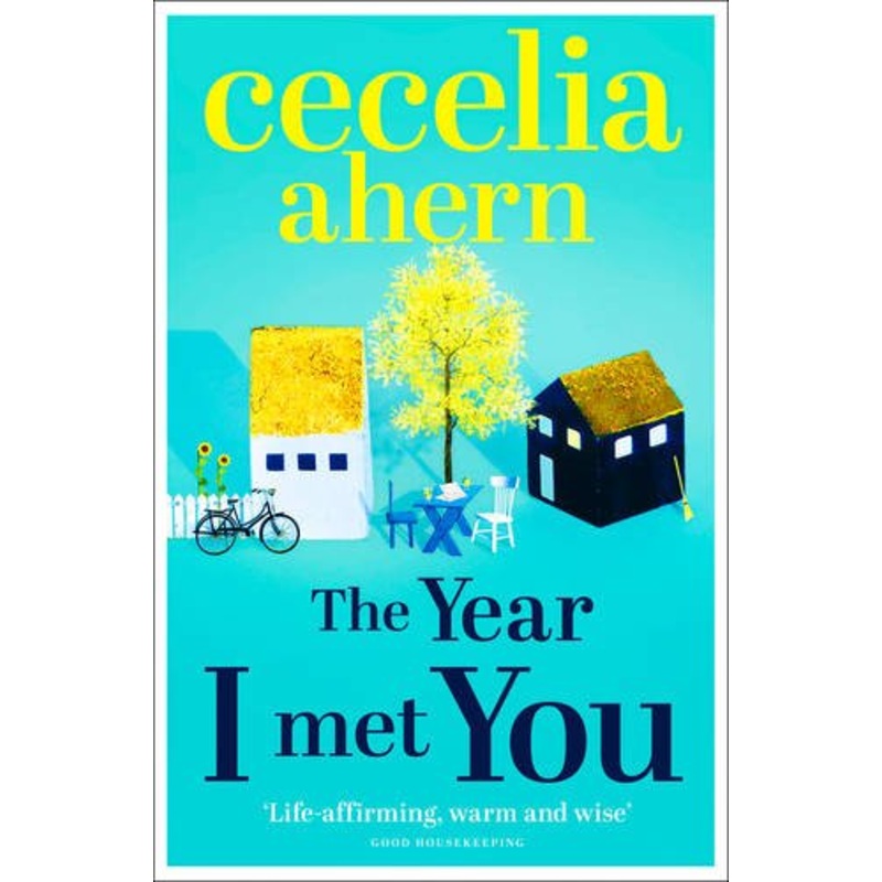 The Year I Met You,Cecelia Ahern