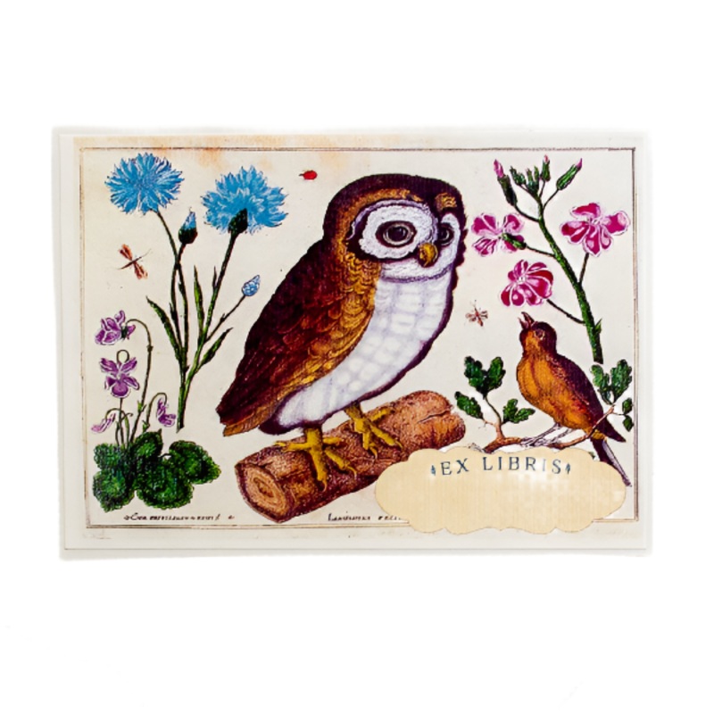 Bookplates: Owl and Singing Bird : Set of five