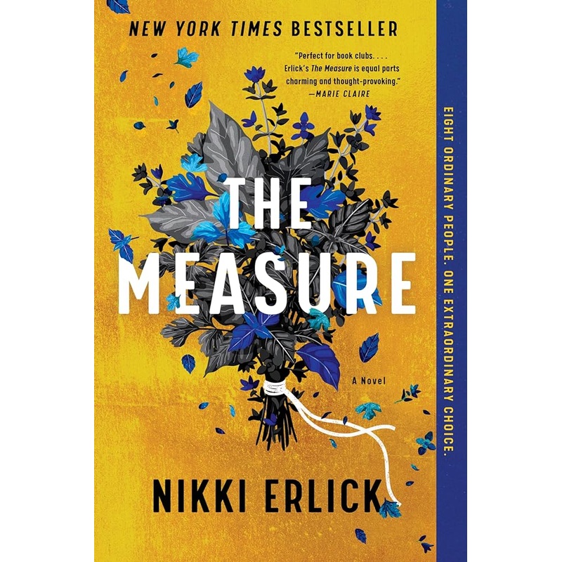 The Measure: A Novel by Nikki Erlick